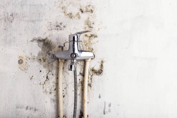 Gaithersburg, MD Mold Removal Pros