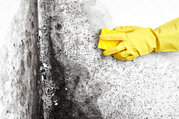 Water Damage Restoration in Gaithersburg, MD