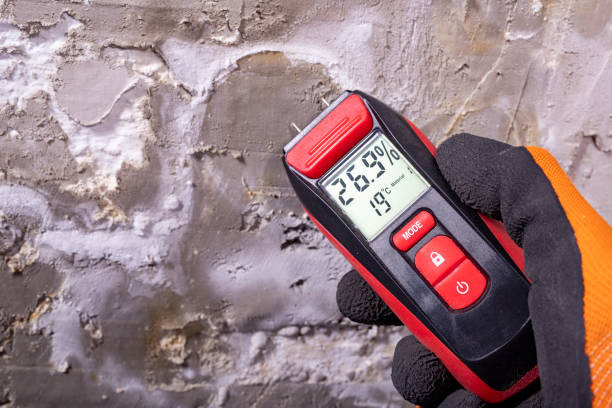 Certified Mold Removal in Gaithersburg, MD